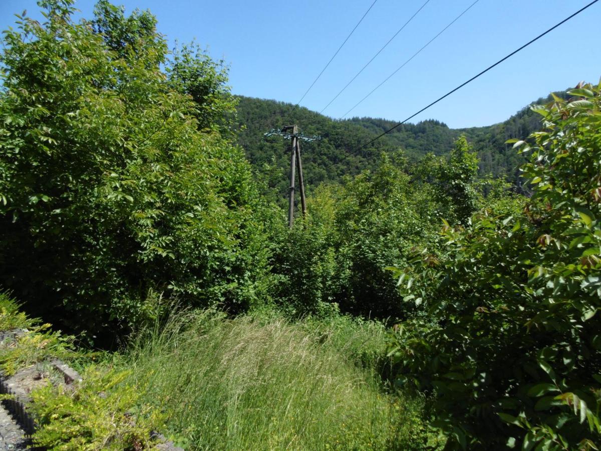 Ferienwohnung Schaefer Waldbreitbach Exterior foto