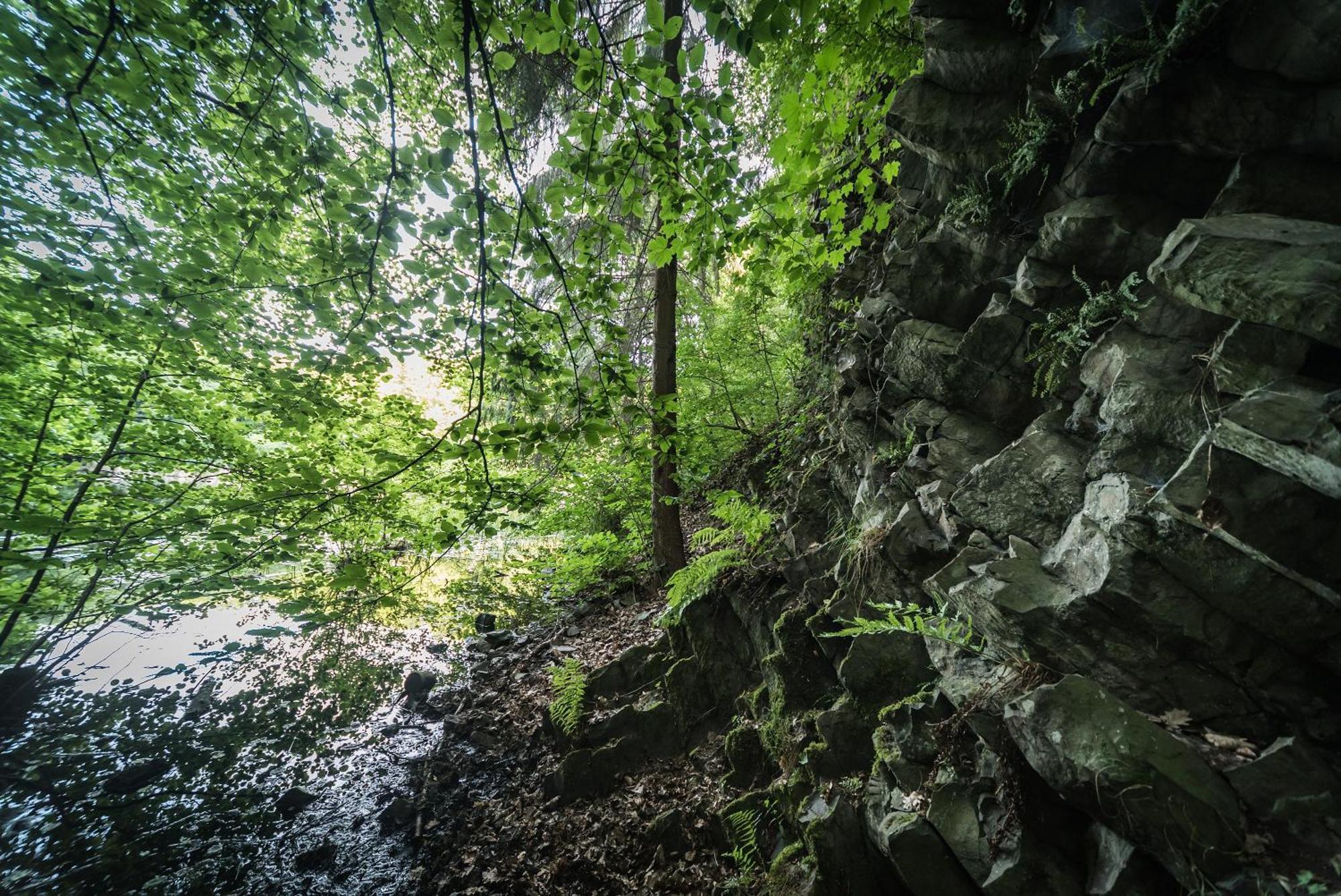Ferienwohnung Schaefer Waldbreitbach Exterior foto